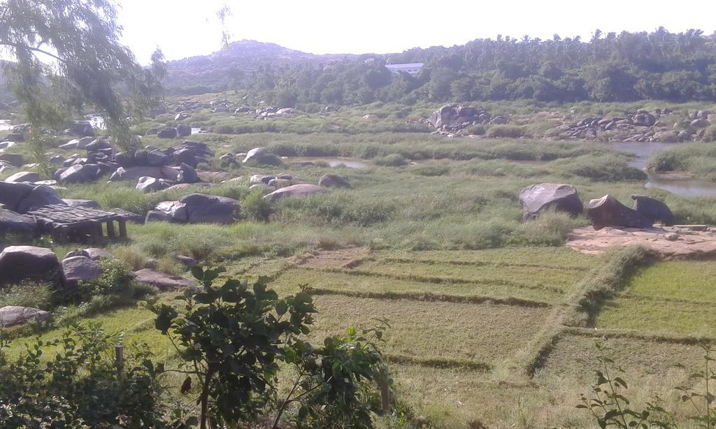 Golden Garden Hampi Ngoại thất bức ảnh